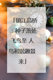镇江高桥：种子落处飞鸟至 人鸟和谐趣景来